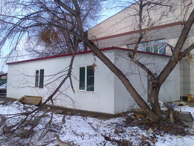 20 день