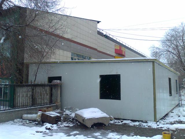 7 день